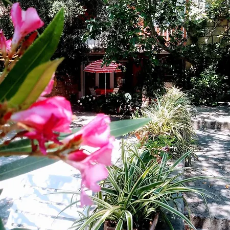 Ferienwohnung Fuer 4 Personen Ca 65 Qm In Zelenka, Dalmatien Mitteldalmatien Apartment *